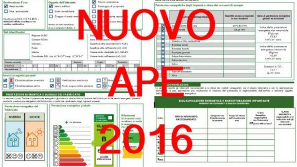 COVER_ape-640x360